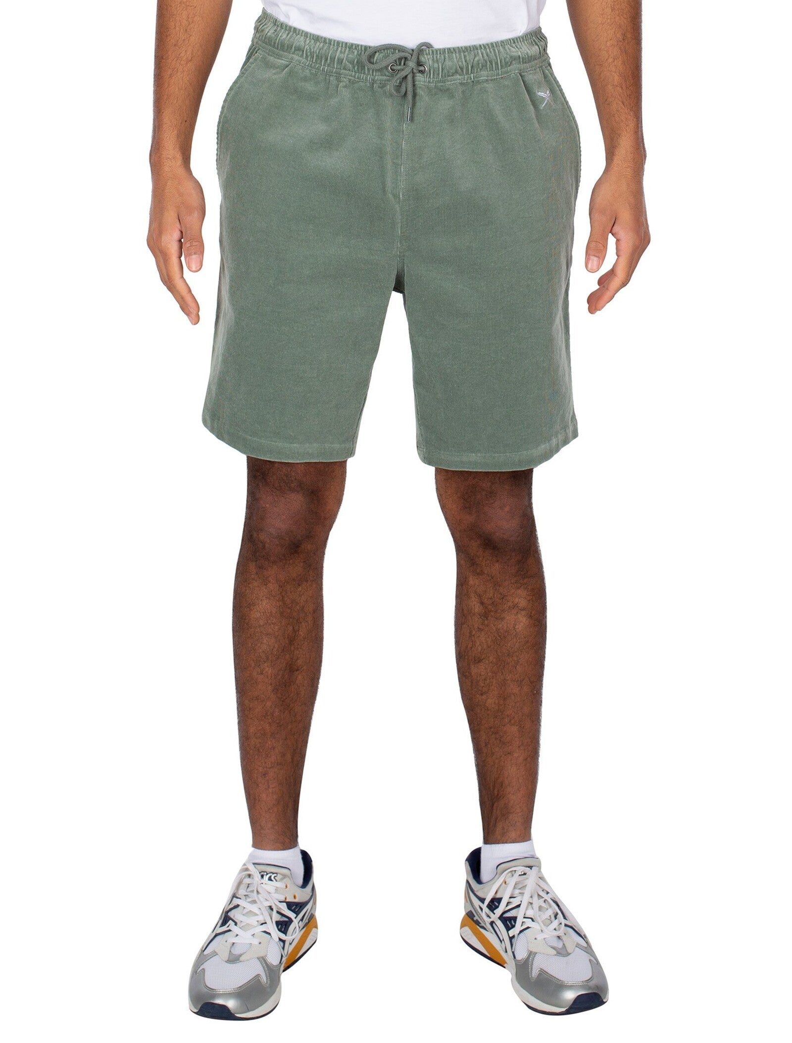 Bermudas Iriedaily Corvin Short Mint grey