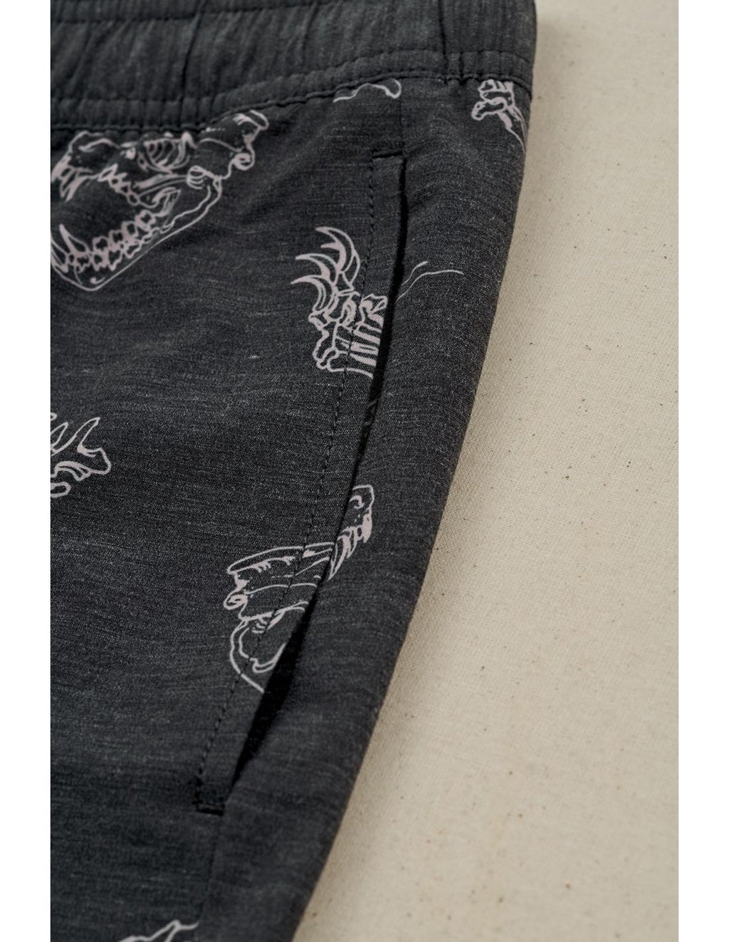 Bermuda Globe Dion Agius Poolshort Black