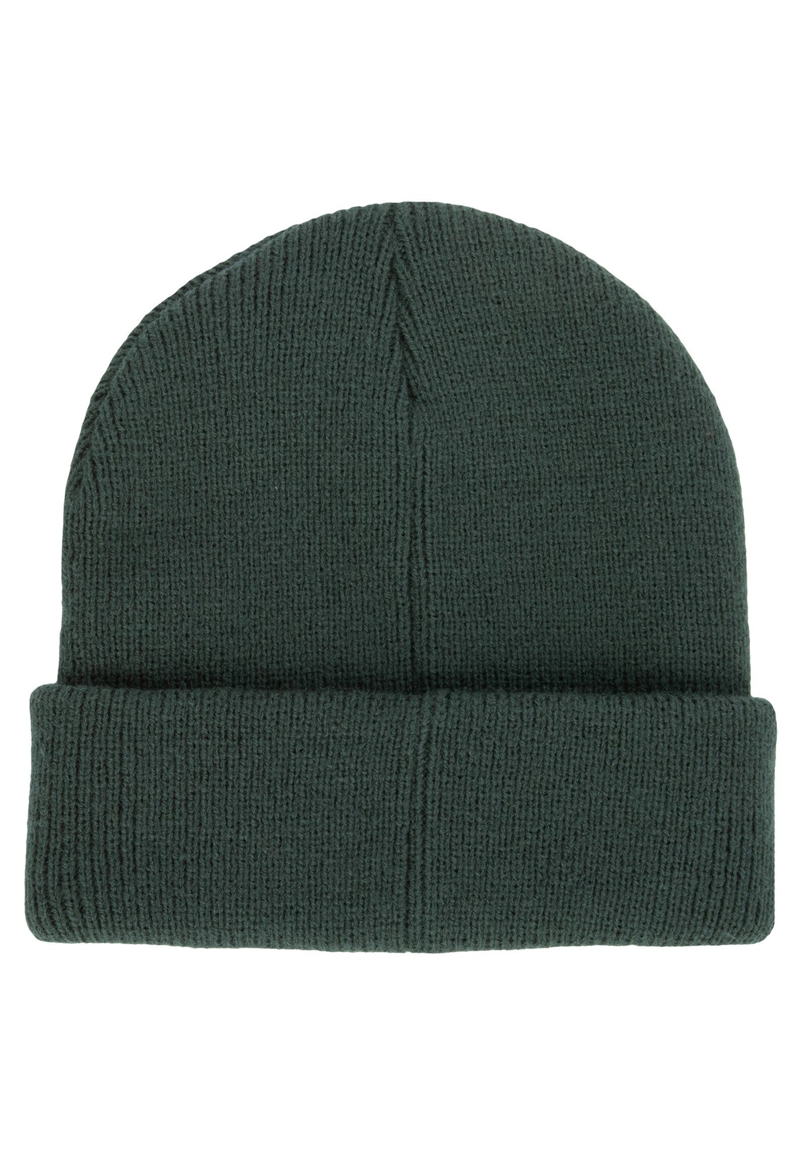 Gorro Iriedaily Smurpher Heavy Beanie Bottle Green